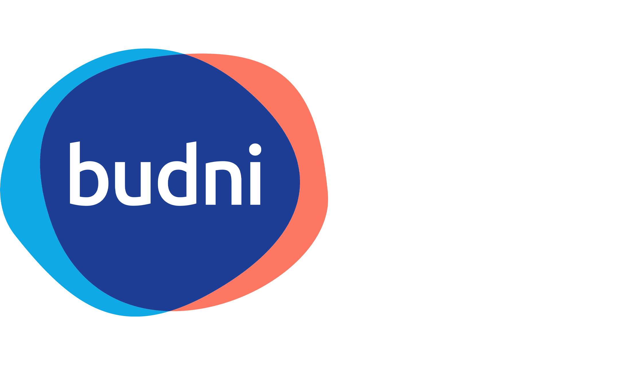 BUDNI Logo